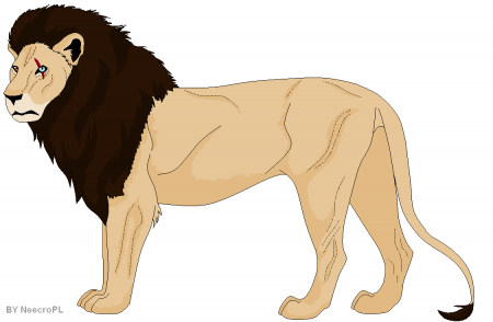 Detail Nkosanaz (Swifty)