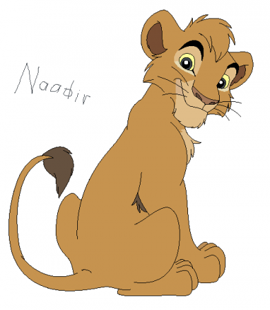 Detail Naadir
