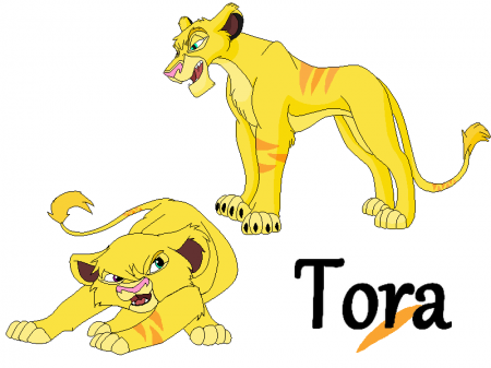 Detail Tora ( sabaku no tora )
