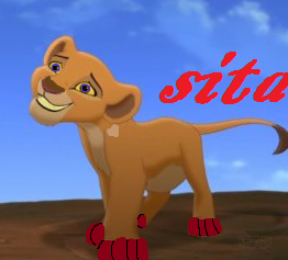 Detail sita