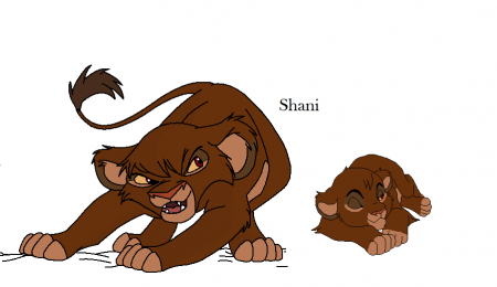 Detail Shani  CSL 
