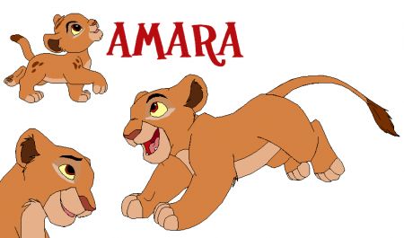 Detail Amara(VIT)