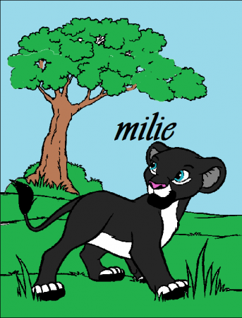 Detail milie