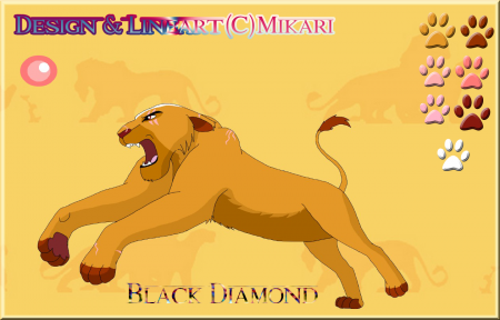 Detail Black Diamond