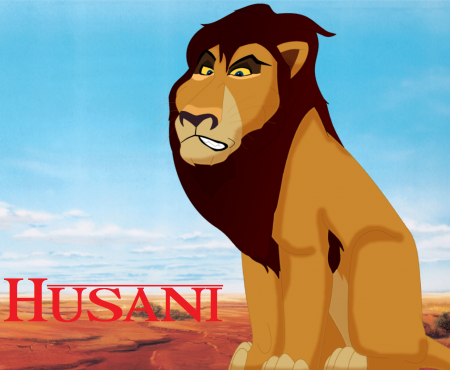 Detail Husani
