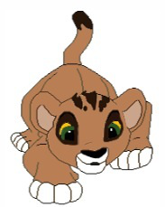 Detail Kivu (KTLC)