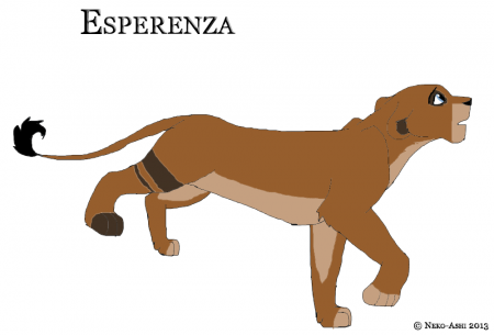 Detail Esperenza