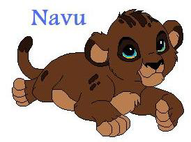 Detail Navu (KTLC)