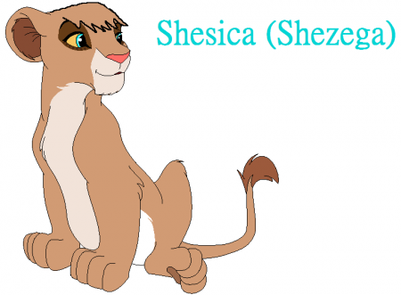 detail shesica (af)