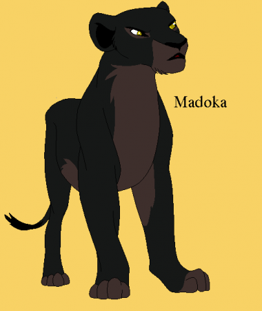 Detail Madoka{RTR}