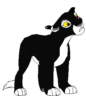 Detail Shadow ( glameow~)