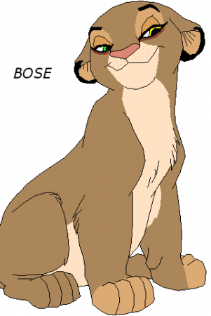 Detail Bose (D)