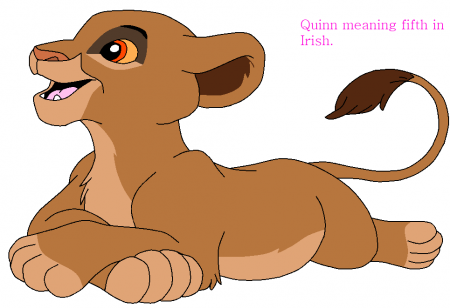 Detail Quinn 