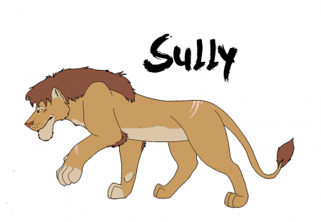 Detail Sully
