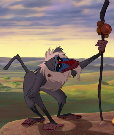 Detail Rafiki