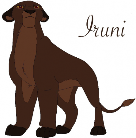 Detail Iruni (Pan)