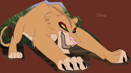 Detail Shira