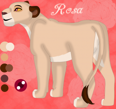 Detail Rosa{KB}