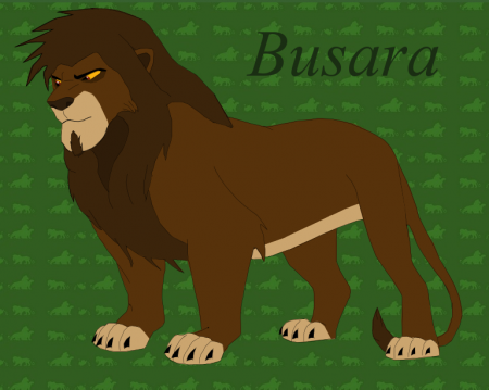 Detail Busara (Kay)