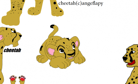 Detail cheetah(ange)