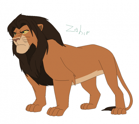 Detail Zahir(DV)