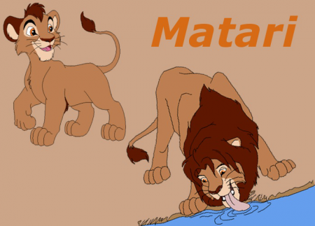 Detail Matari (F467)