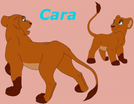Detail Cara (F467)