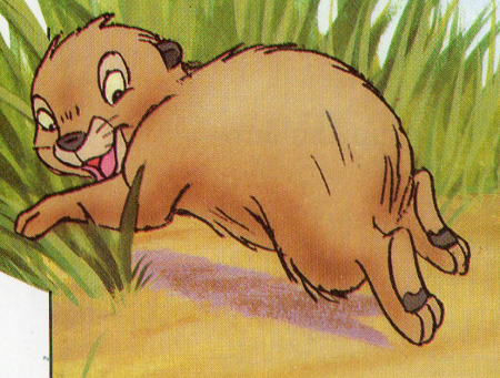 Detail Pimbi