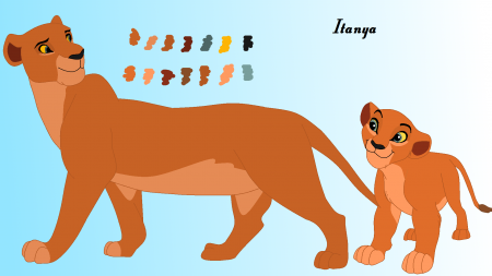 Detail Itanya (L10)