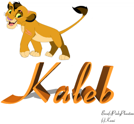 Detail Kaleb  (K)