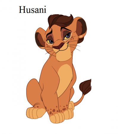 Detail  Husani 