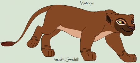 Detail Matope (WW)