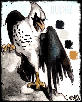 Detail  Audaz