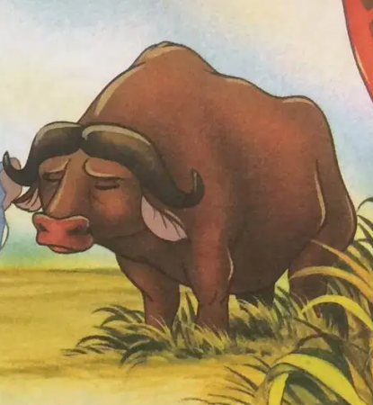 Detail Kula (Cape Buffalo)