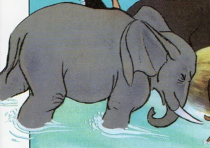 Detail Pembe (Elephant)