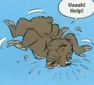 Detail Malo Mole