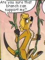 Detail Lulu (Meerkat)