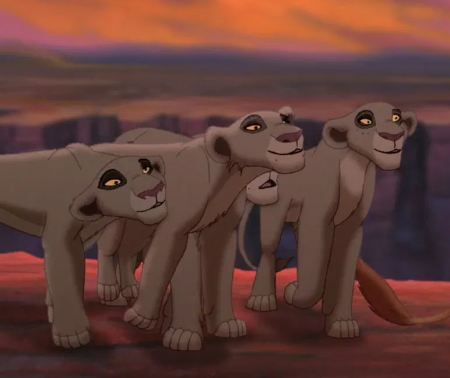 Detail The Outsider Lionesses