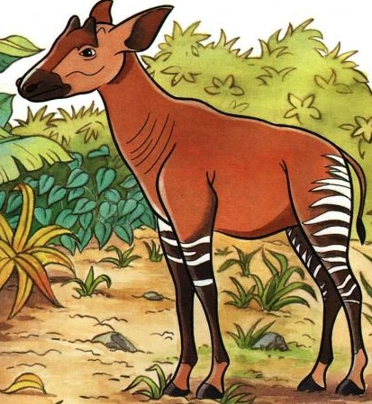 Detail Oorak 