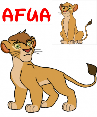 Detail Afua (LL)