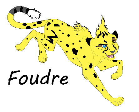 Detail Foudre