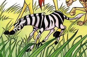 Detail Stripey