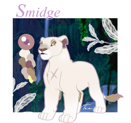 Detail Smidge