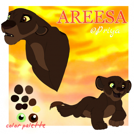 Detail Areesa