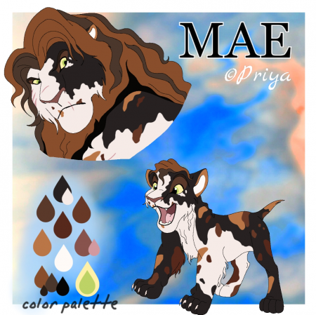 Detail Mae