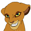 Kotara (TLO)
