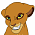 Kotara (TLO)