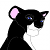 Shelby (Twilight16)
