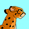 Kita (Kip')