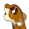 Shamsy